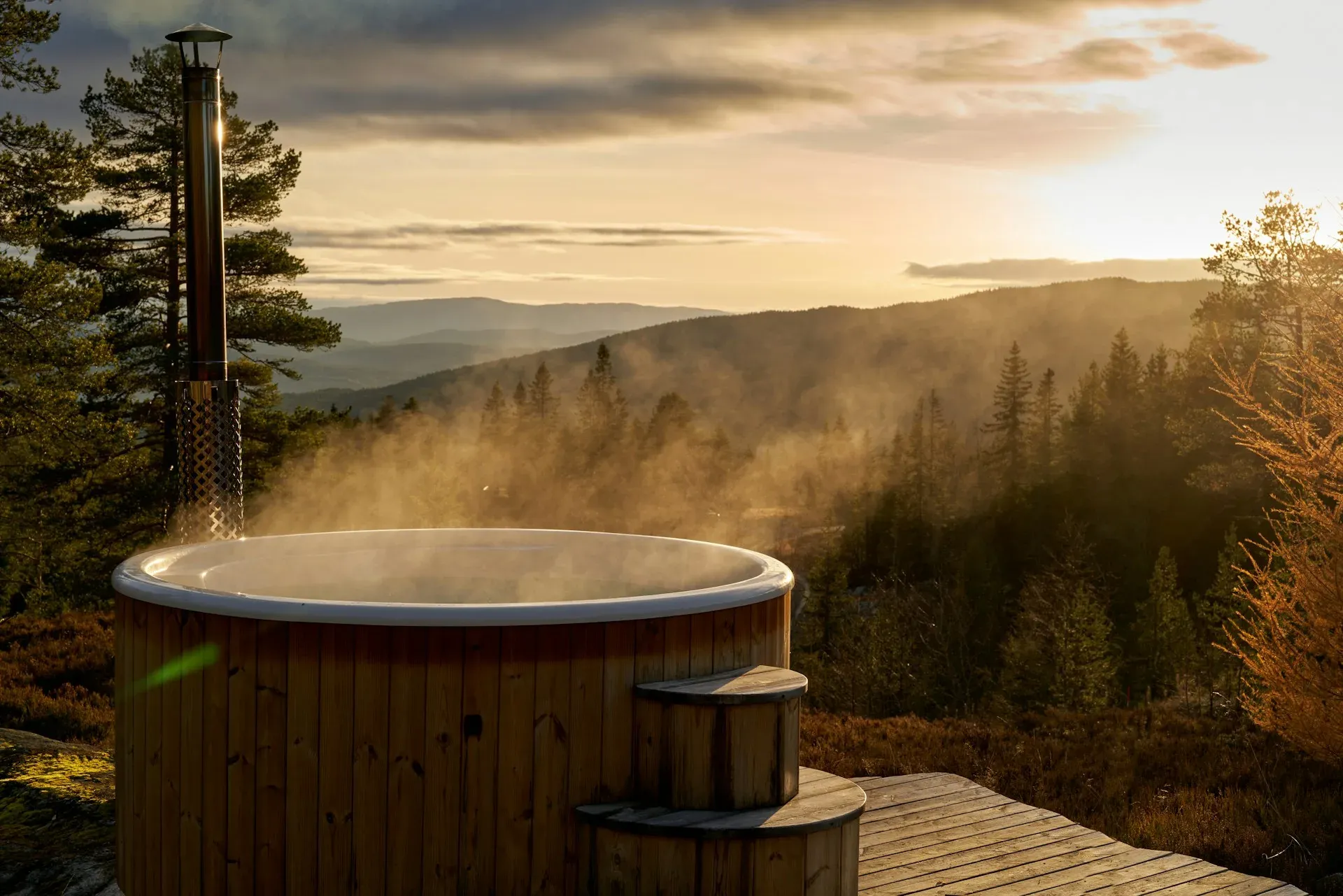Terrasse en bois entourée de forêt